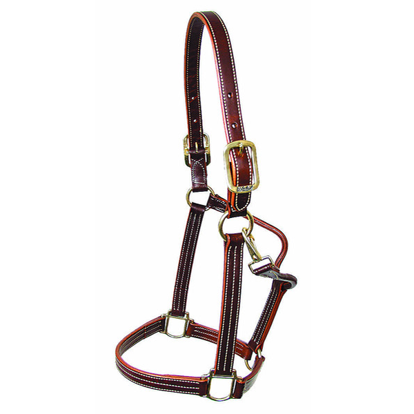 Walsh British Halter - Straight Chin