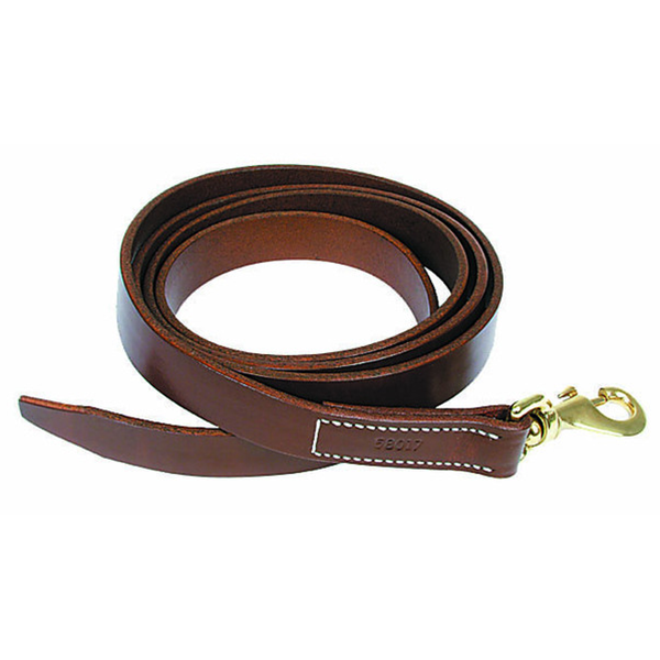 Walsh Leather Lead with Snap