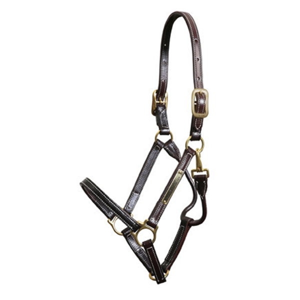 Walsh Showman Halter - Straight Chin