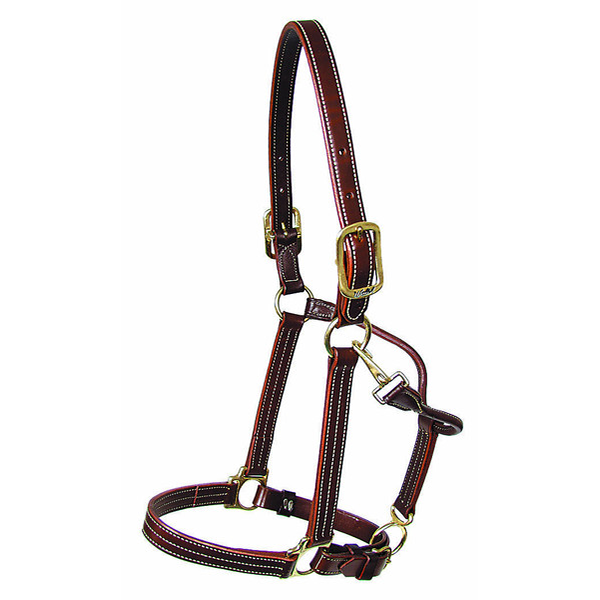 Walsh Kentucky Halter - Adjustable Chin