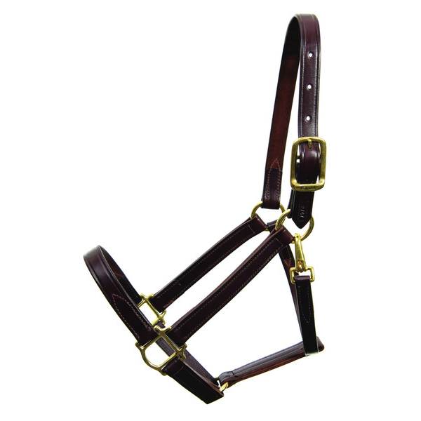 Walsh Heritage Halter - Straight Chin-2746