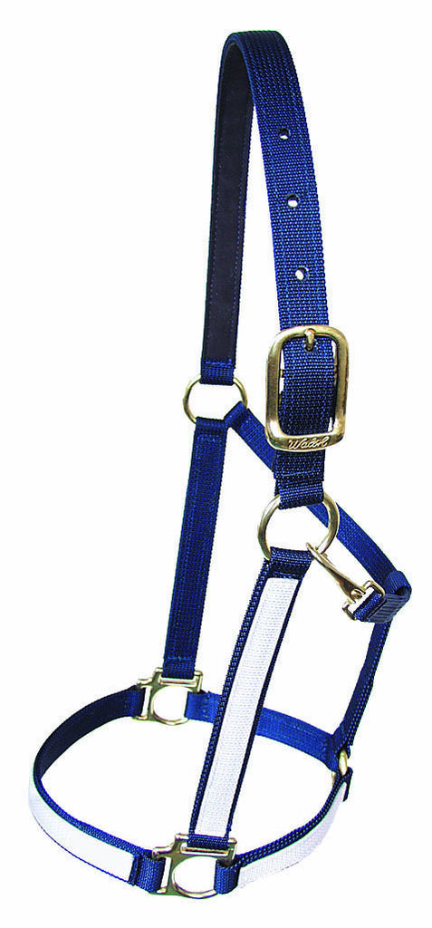 Two Tone 1" Victory Halter