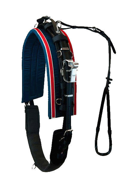 International Lite-N-Tuff 16000 Harness Complete