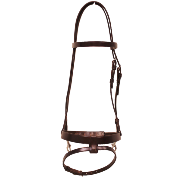 Walsh Training Headstall with Flash Noseband
